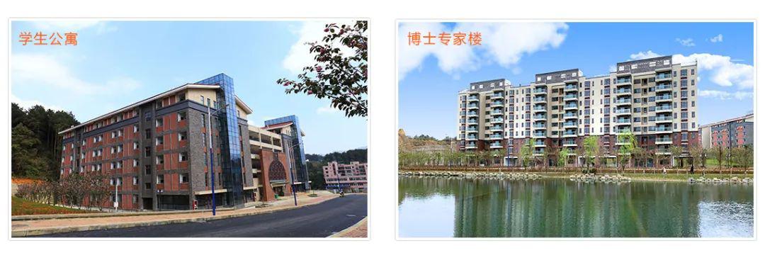 招聘茅台学院引进博士年薪不低于20万元还有50万元购房补贴等一系列