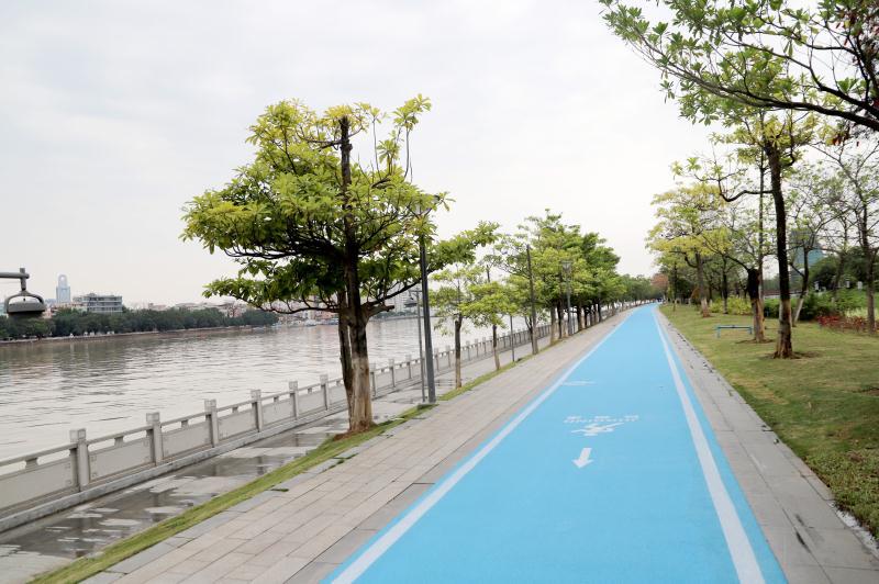 广州国际生物岛66公里的示范性碧道来了