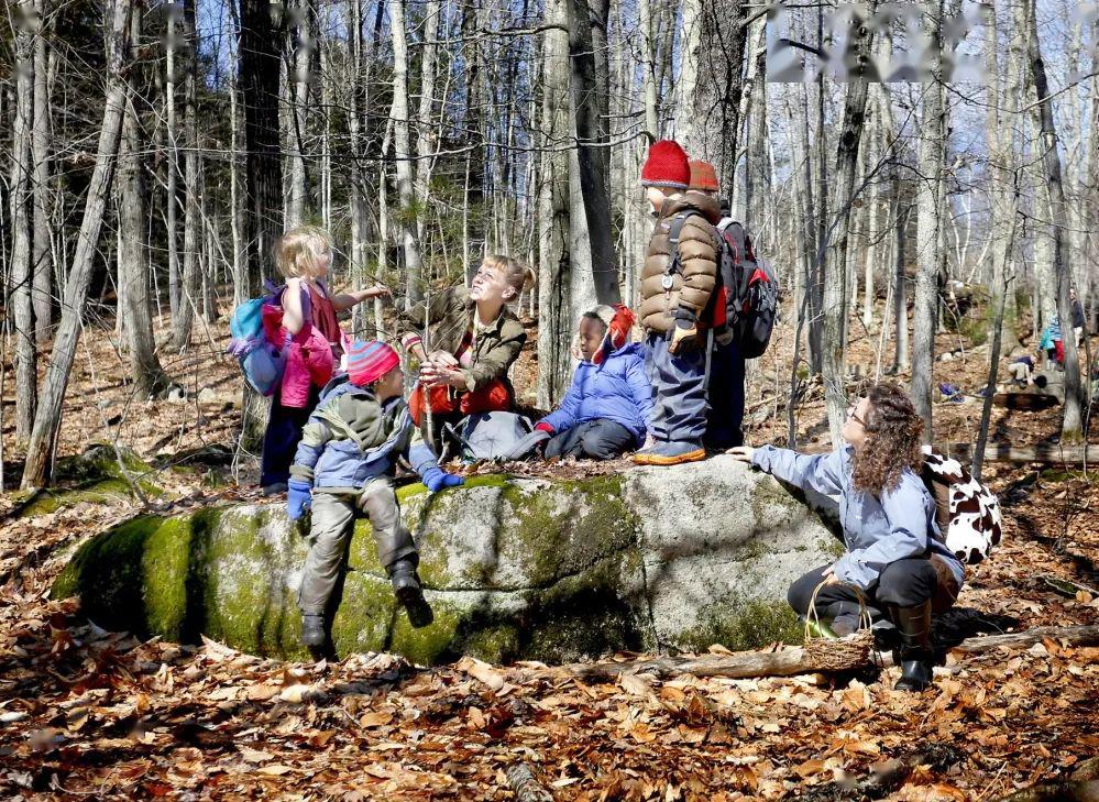 沉浸式场所×自然教育研学:panarbora自然体验中心_森林