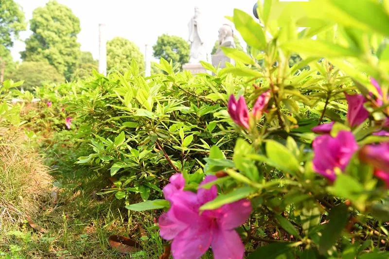 直击开学现场||衡山县县长蒋青一行莅临我校督查指导开学工作