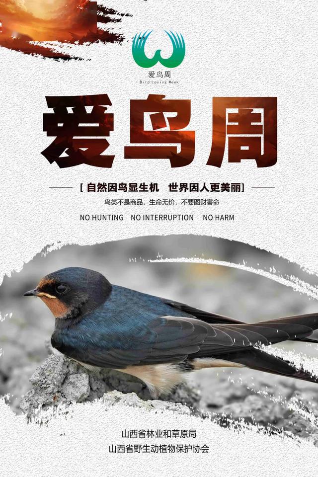 2020年爱鸟周海报展示4月5日,山西省第39届"爱鸟周"宣传活动已正式