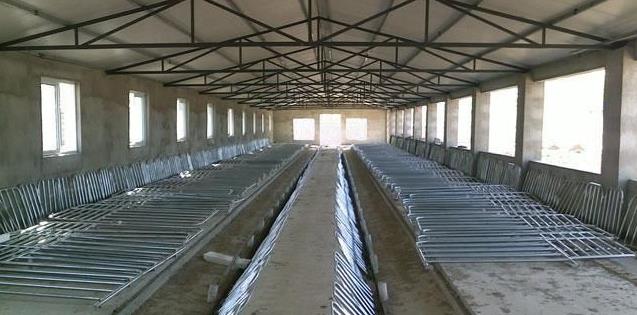 农村建猪场年出栏200头肥猪,需要投入30万?看猪场如何建设?