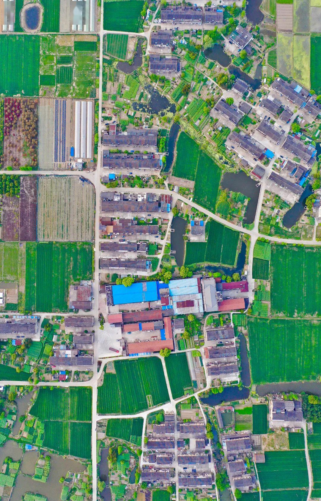 江阴旗岐峰路附近的农田和村庄| 摄影师@洪杰威人们建造庭院,一排排枕