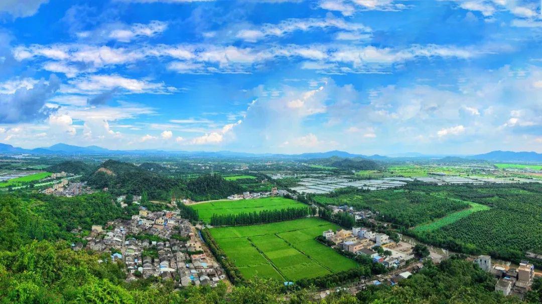 来源:珠海特区报编辑:张练周返回搜狐,查看更多