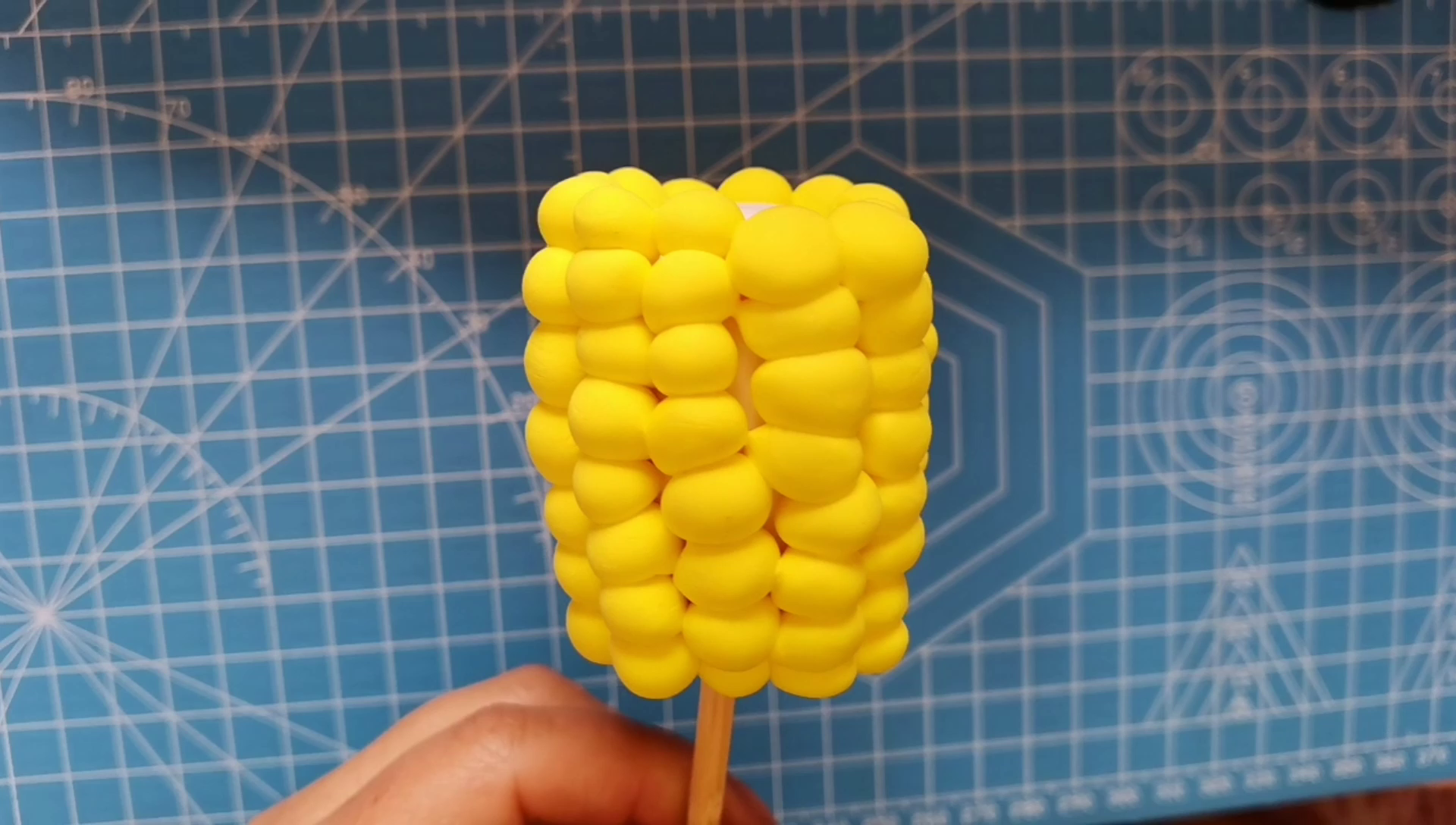 玉米种子结构图橡皮泥图片