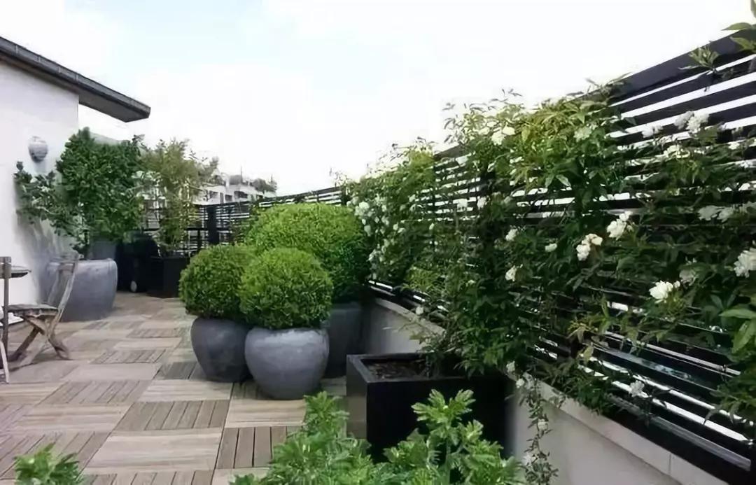 防尘防雨遮阳要注意几大问题但屋顶花园在设计伊始这对于植物的生长有