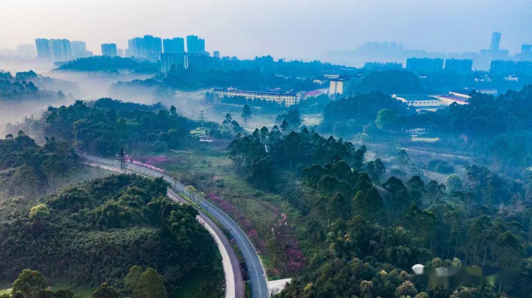 绿心大环庐山湿地,大环石龙花海,小环毛家湾特别提示:绿心公园内严禁