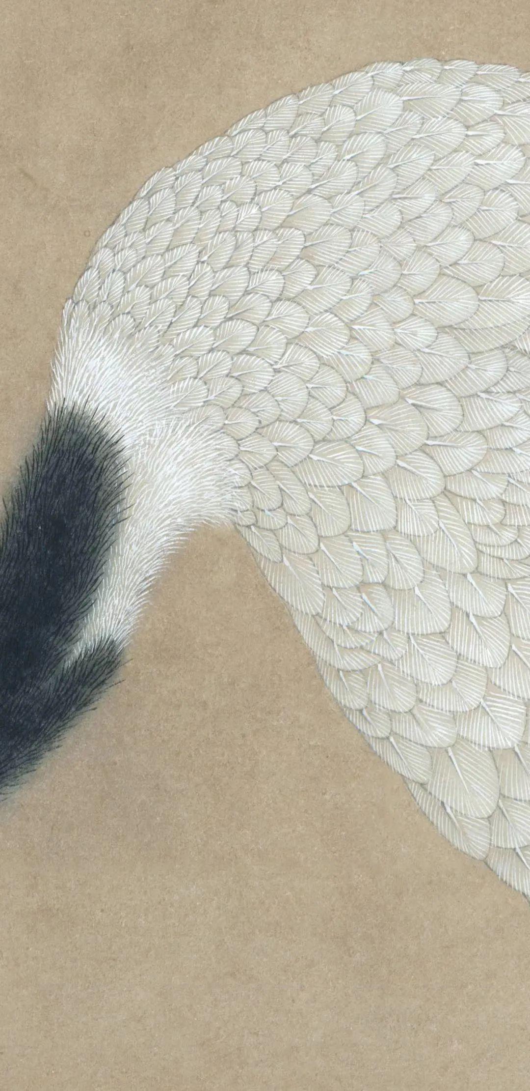 临明边景昭竹鹤图轴绘制步骤