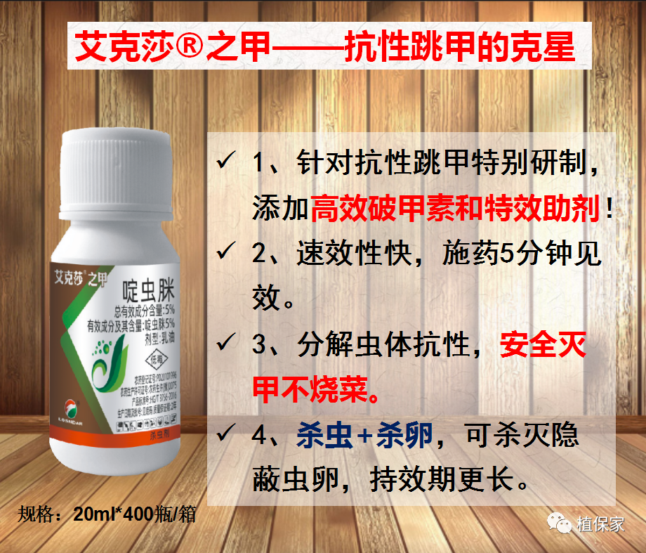 跳甲能飞善跳抗性高顽固性跳甲怎么杀才最好