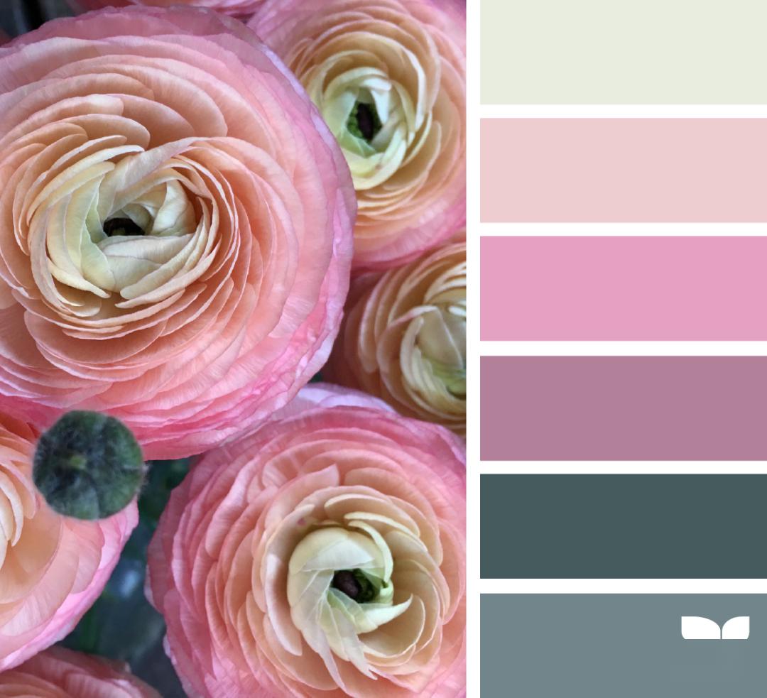 配色丨春天都在色彩里