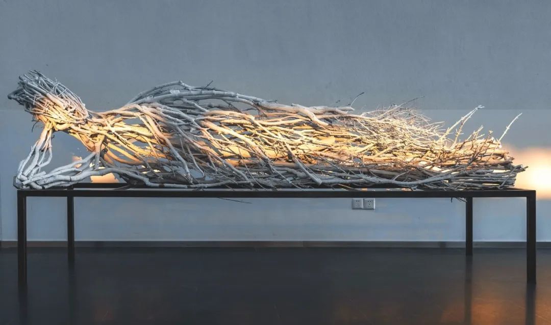 胡军军:《涅盘风光》展览_佛陀_作品_袈裟