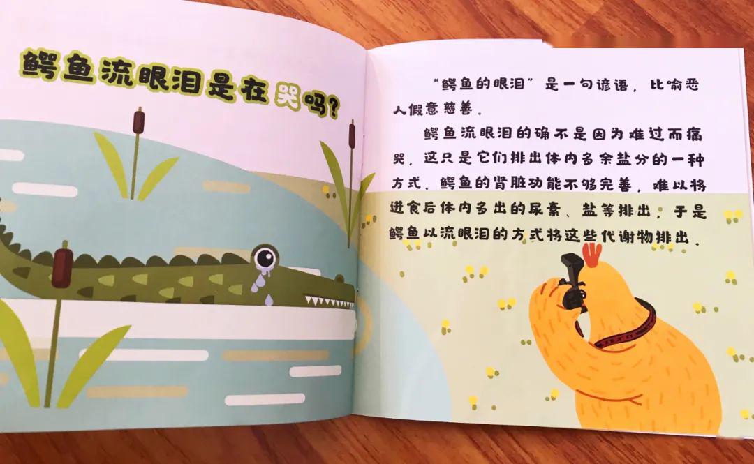 除了动物知识,我们还学到了"鳄鱼的眼泪"这个谚语.