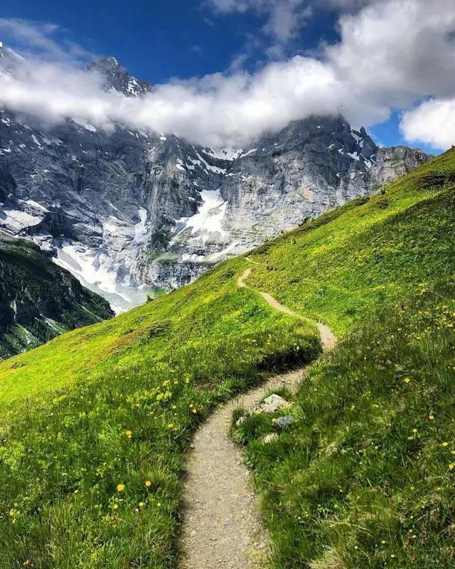 2020微信很红的句子