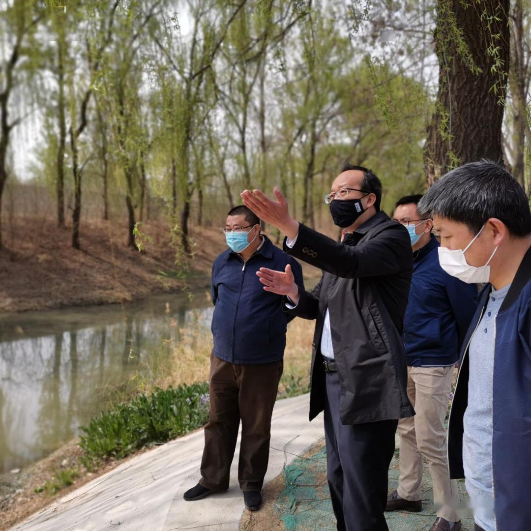 广安门马卫国图片