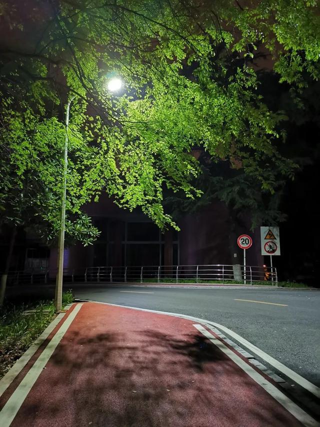 桂子山的夜晚更亮了!_路灯