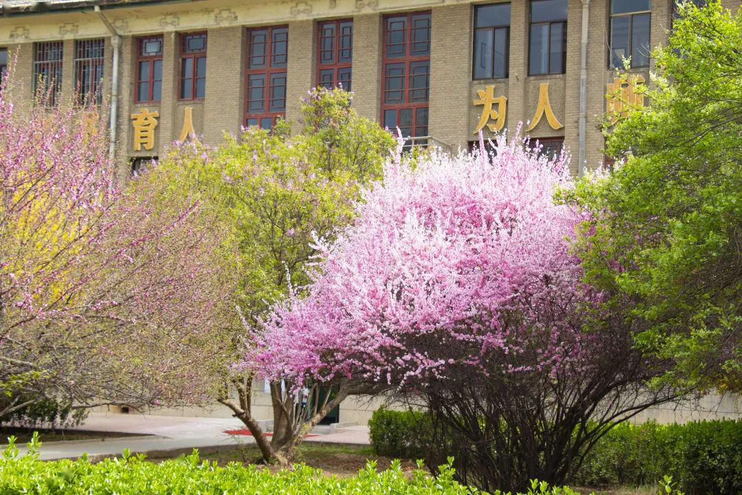 我把兰州城市学院的春天寄给你(第九期)_校园