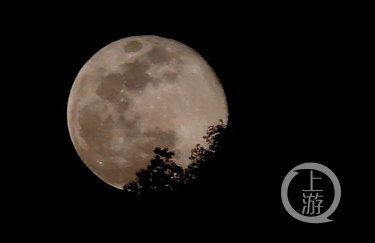 年度最佳"超级月亮"昨晚现身重庆_上游