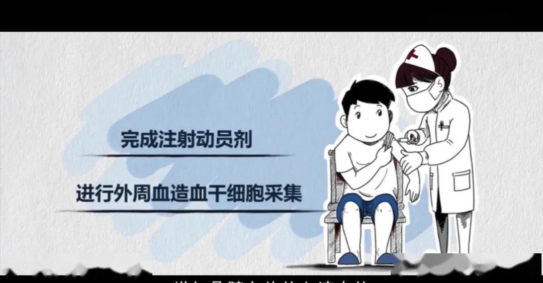 捐献者可以通过安全的动员剂,增加骨髓之外的血液中的造血干细胞数量.