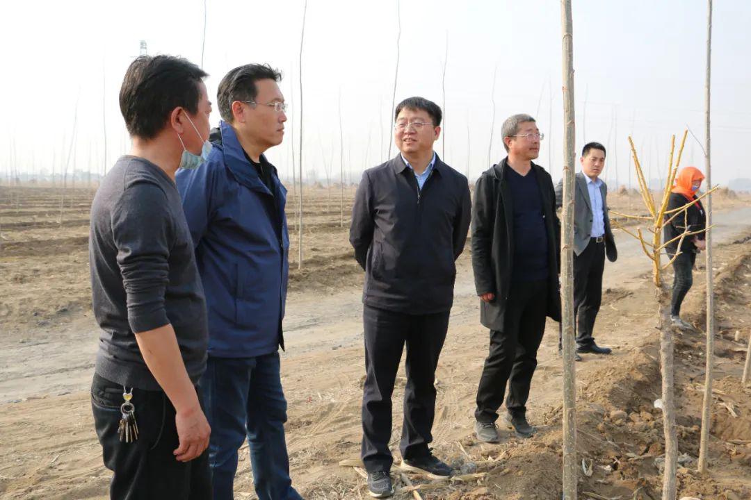 宗振华先后来到安山镇西牛栏村,朱各庄镇指挥村查看农村人居环境整治
