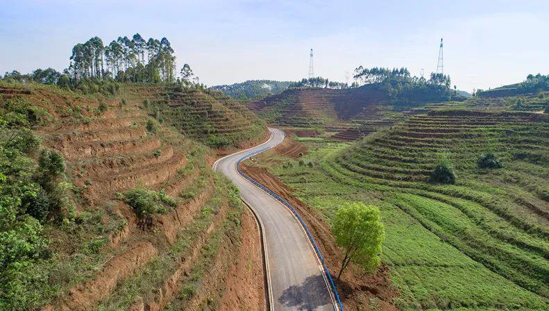 从起点符溪镇汪萍村峨眉河绿道直至双福镇大西南茶叶市场,一条宽近6.