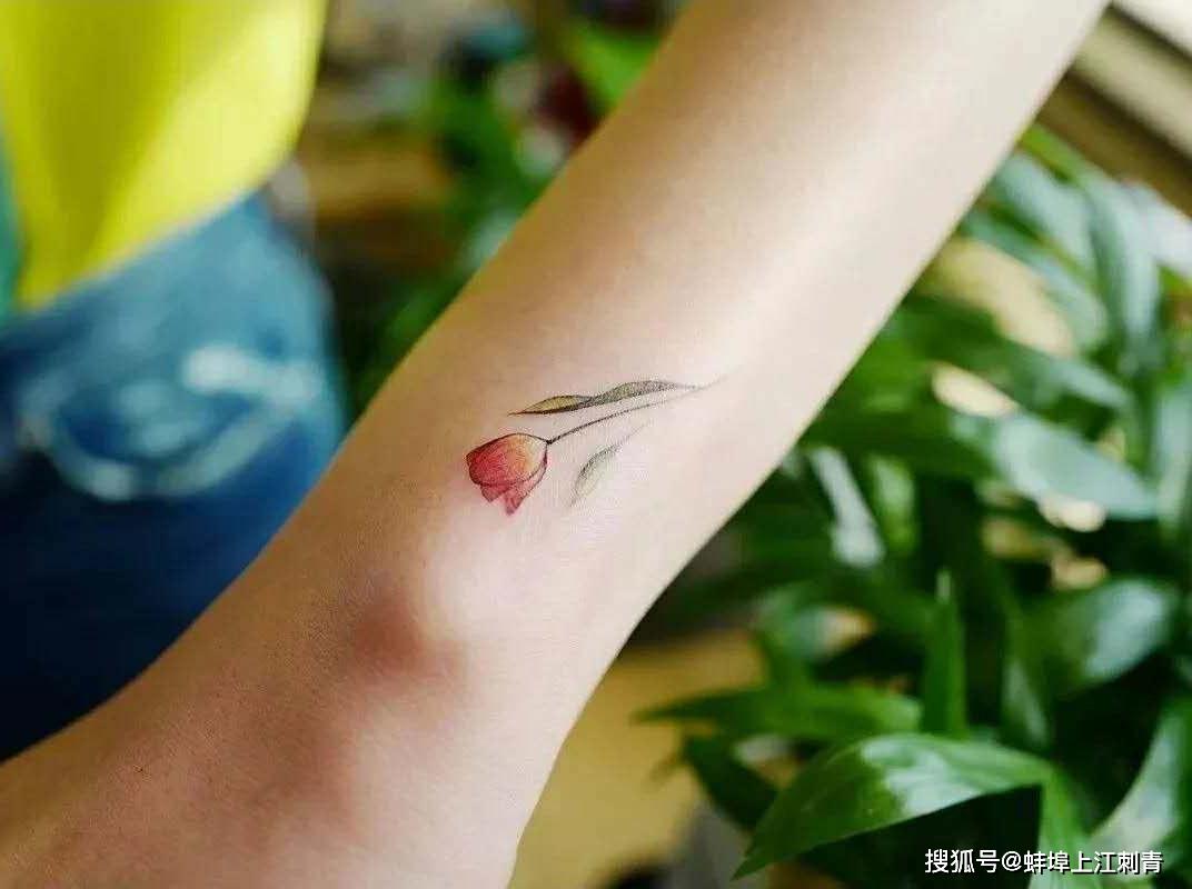满天星纹身|我是配角,但我不可或缺_图案