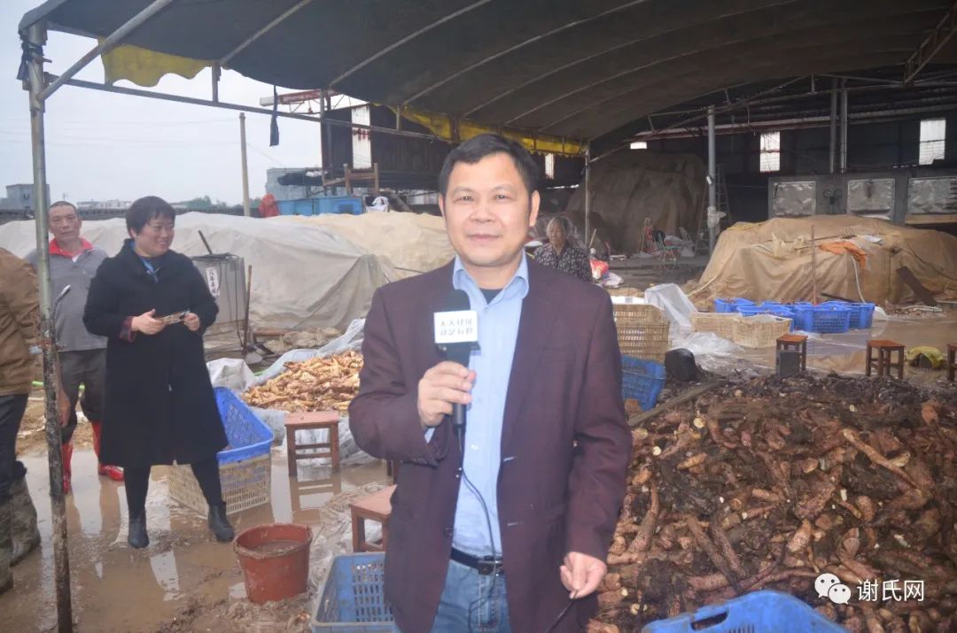 思旺花玲村支书陈立成左一平南朝阳中学校董黄翔▲小编谢欢在现场采访