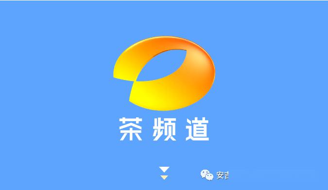 热烈祝贺湖南卫视茶频道安吉工作站挂牌