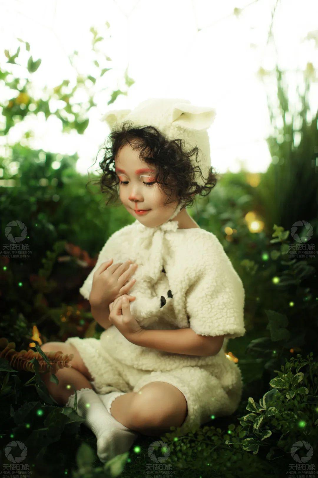 公园小羊在线撒欢快乐就完事了