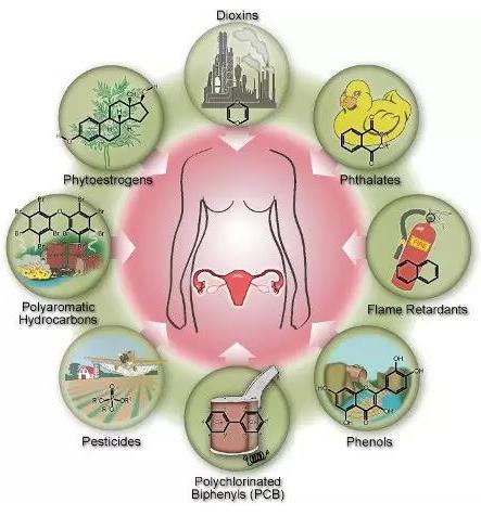 而环境荷尔蒙,又称"内分泌阻断剂"或"内分泌干扰物".