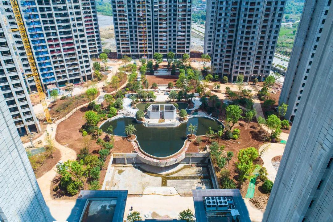 大宁府拥有幸福的更多可能性