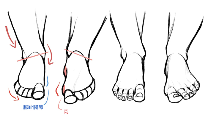 如何一邊理解構造一邊進行手和腳的繪製
