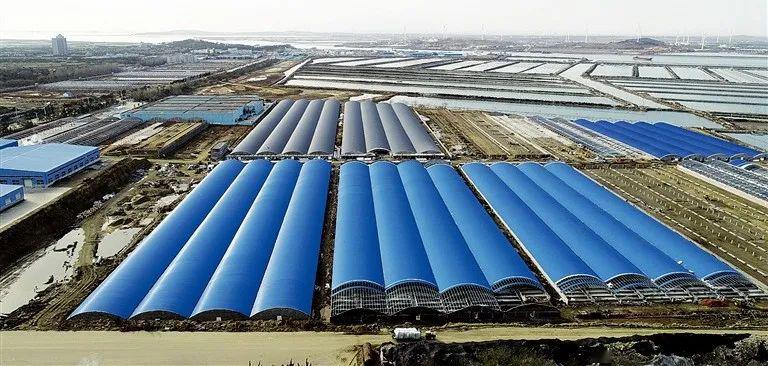 产量同比增长58%,除了满足自有海洋牧场需要,还对外销售海参苗15万