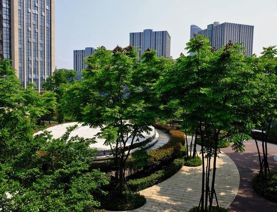 身处重庆的空中花园,每天几万人从它底下路过,却很少有人知道它