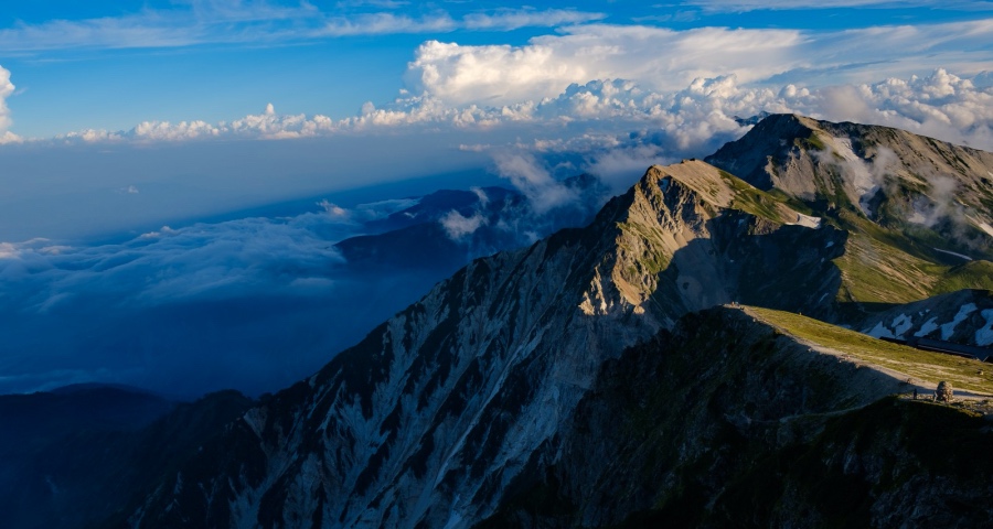 当海底捞喜茶等消费品都在上调零售价，家电企业何时涨价？-家电圈官网