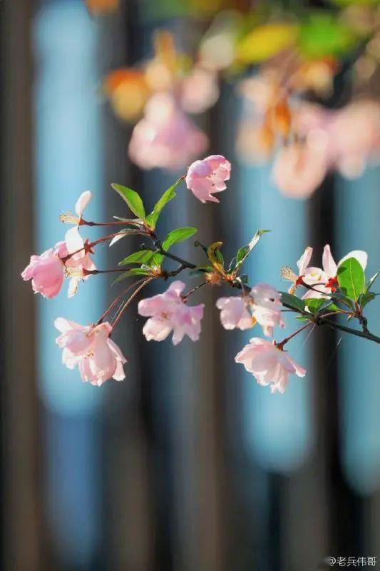 四月份您务必要提防这些疾病!_呼吸道