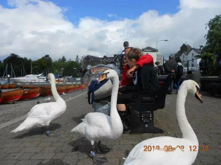 纪念】"素朴生活,高尚思考" ——纪念华兹华斯诞辰250周年_southey