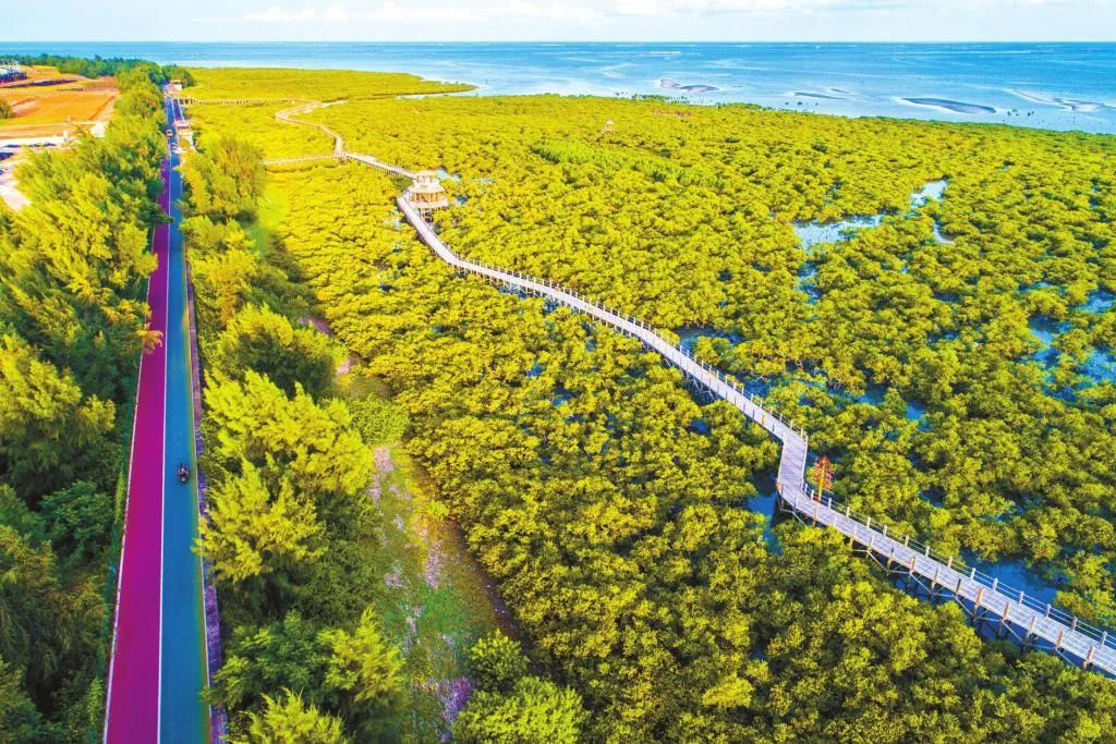 广西北海十大旅游景点, 需要的赶紧收藏!_景区