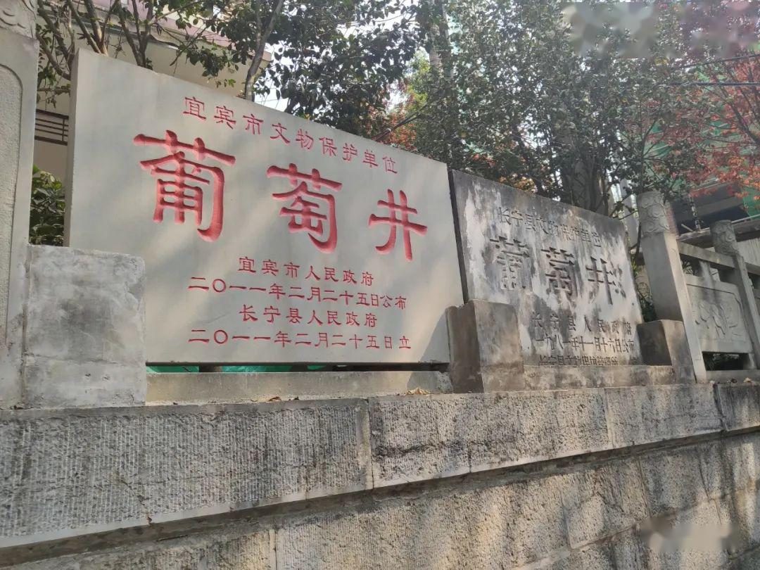 双河凉糕包邮到家宜宾千年葡萄井重新蓄水凉糕鼻祖复活