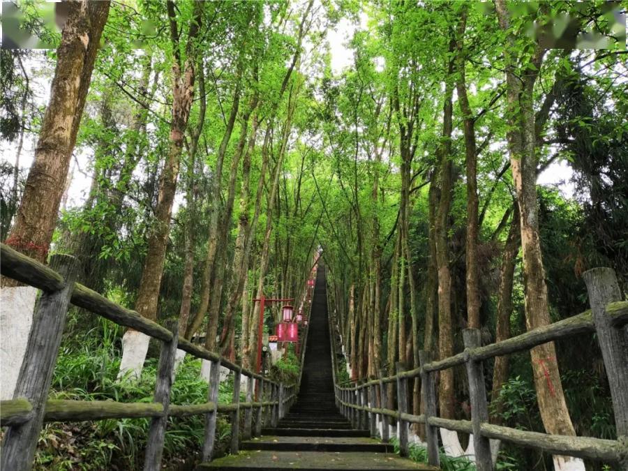 达州人间四月天踏青赏花正当时