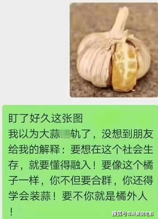 原创知道屎壳郎为什么要倒着推粪球吗哈哈秀出你们的点评