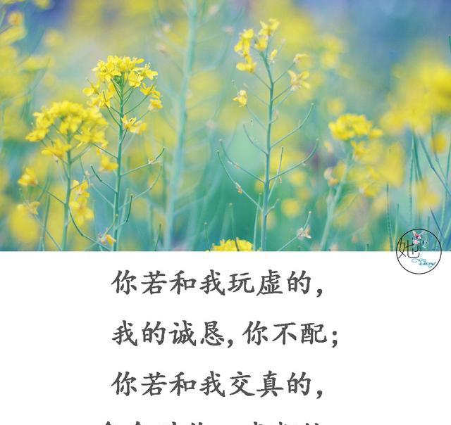 献给心直口快心眼不坏心地善良的人写的真好