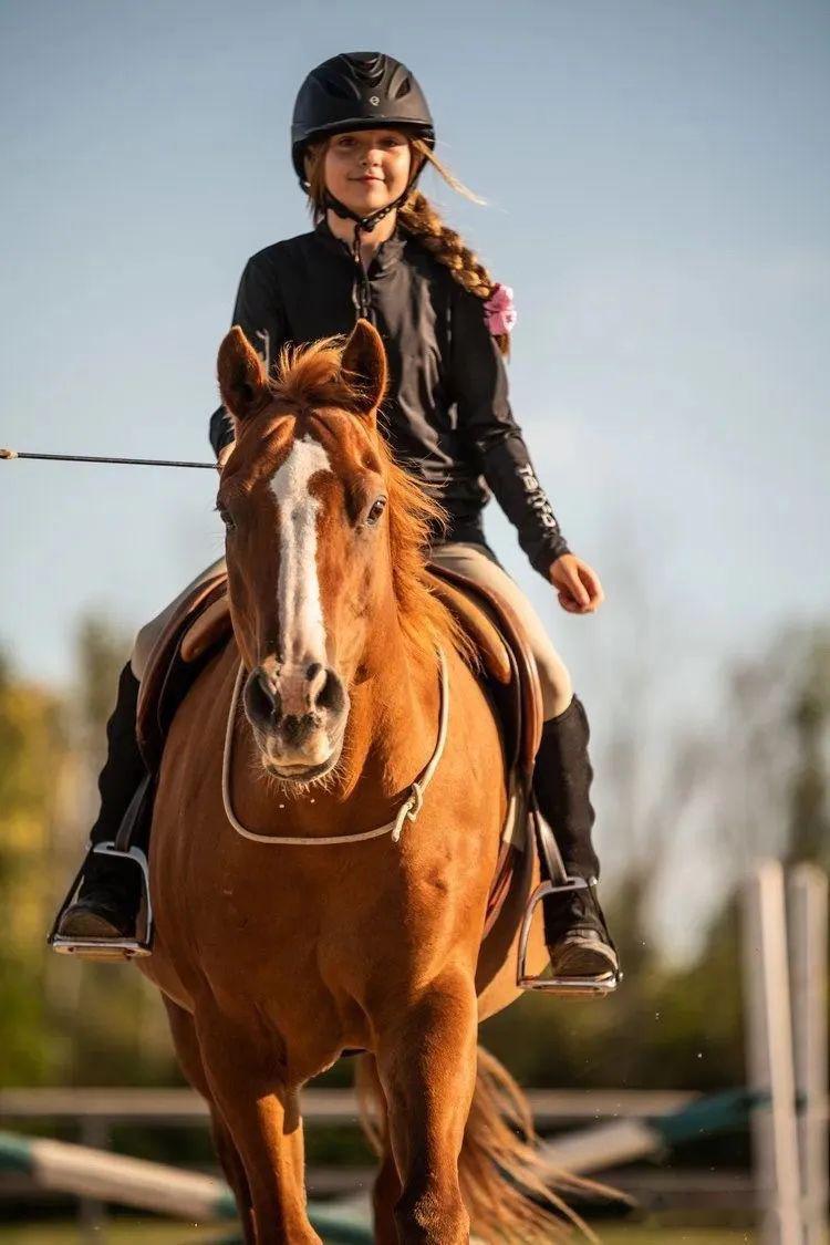 皇室贵族为什么如此痴迷马术