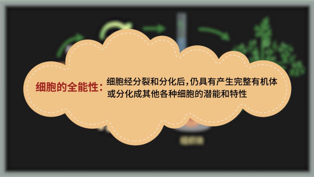 这是因为分化了的细胞:全能性是一种能力,所以,受精卵,动物和人体的
