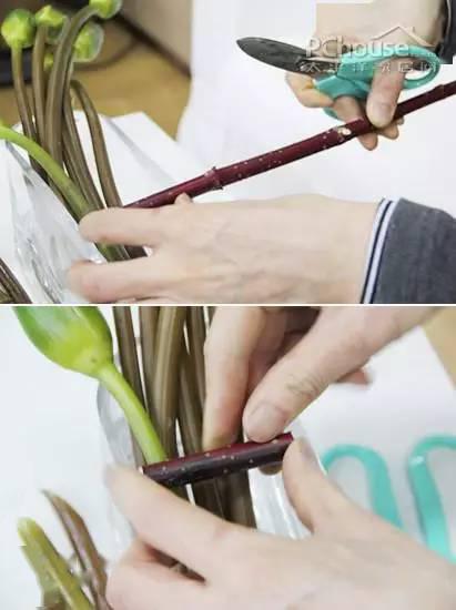新手也能学超详步骤教你diy插花