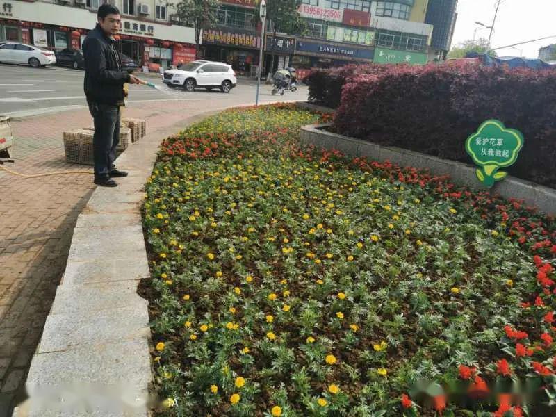 舒城:县园林管理所给城区换"新衣"