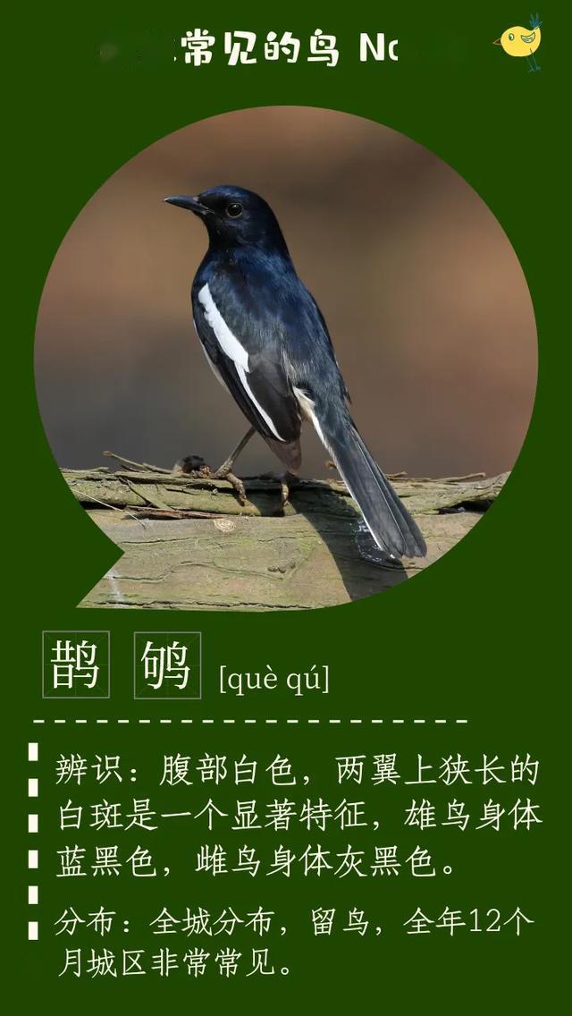 640_1136竖版 竖屏