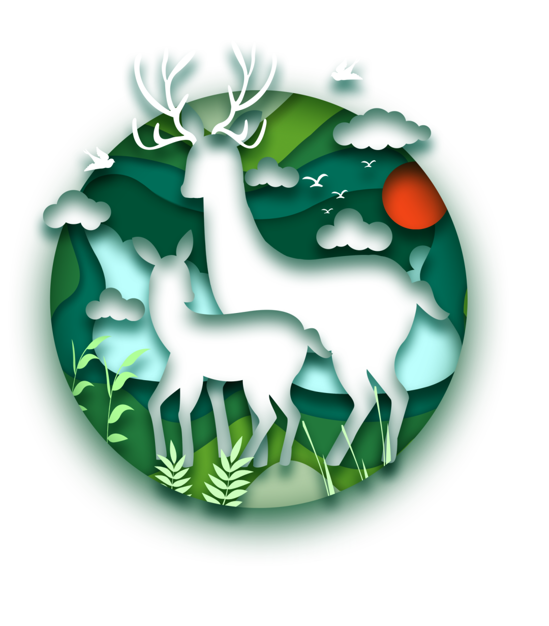 保护野生动物我们在行动