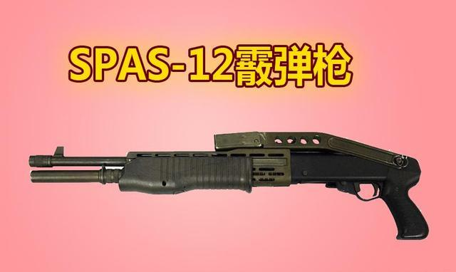 意大利SPAS12式霰弹枪图片