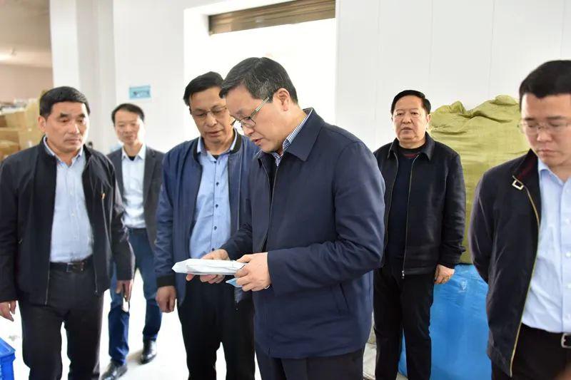 梅耐雪到塔畈槎水督导调研脱贫攻坚和乡村振兴工作