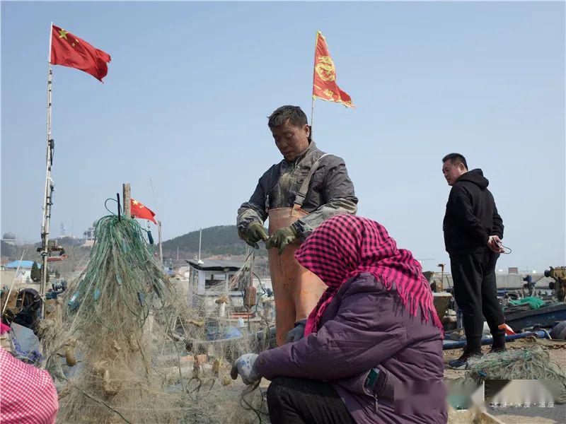 真鲜蓬莱人最爱吃的鱼上市了去晚了买不到价格还有爬虾上岸啦